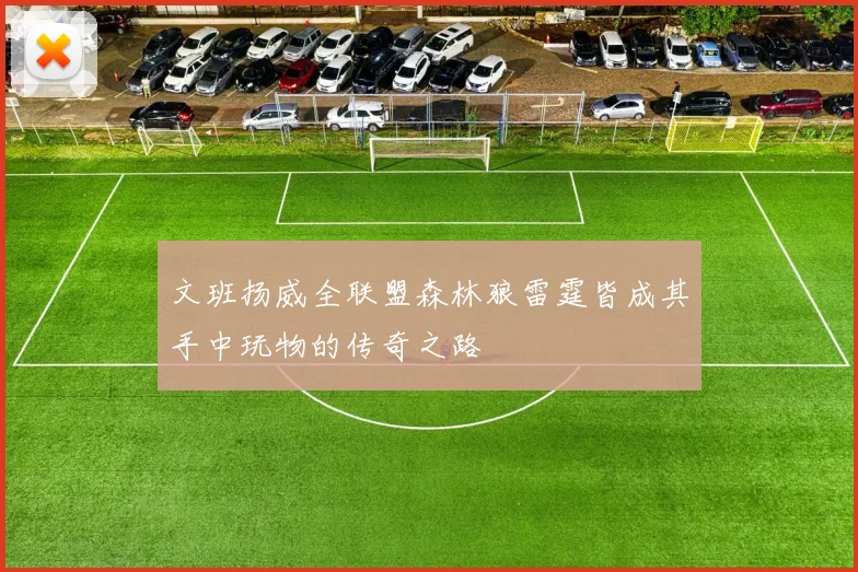 文班扬威全联盟森林狼雷霆皆成其手中玩物的传奇之路