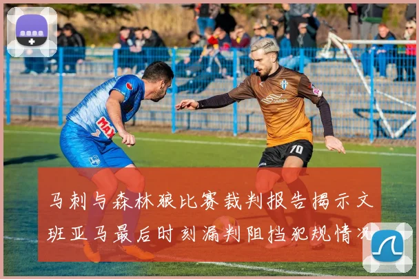 马刺与森林狼比赛裁判报告揭示文班亚马最后时刻漏判阻挡犯规情况